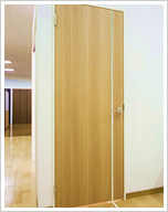 ISM door